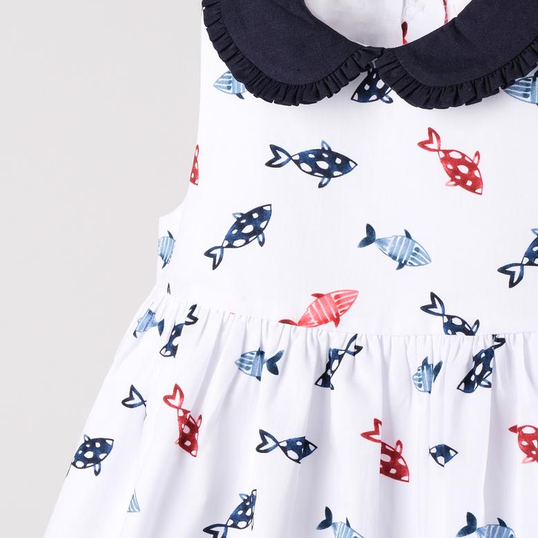 Panco Dress, Newness