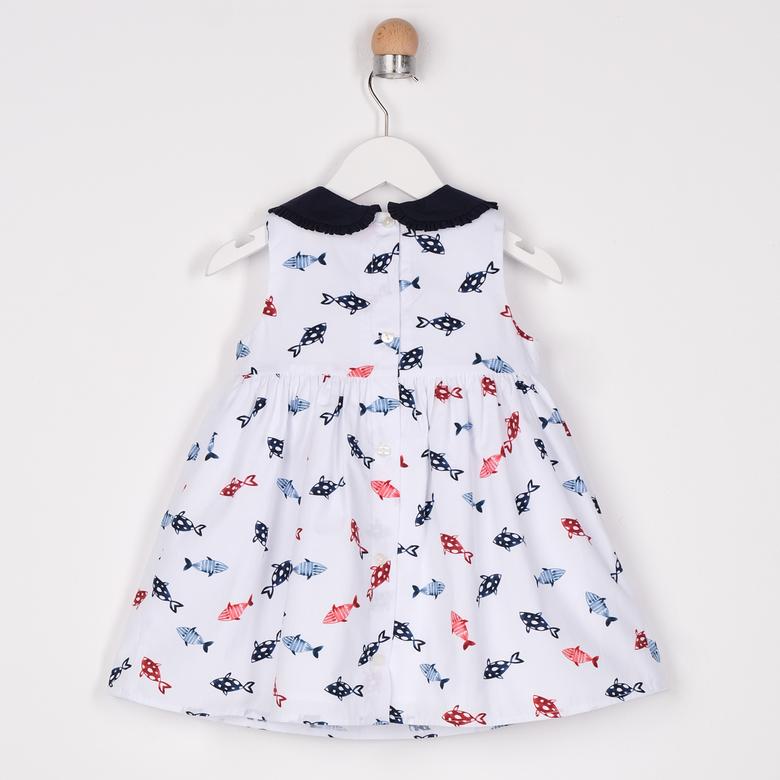 Panco Dress, Newness