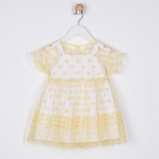 Panco Dress, Party