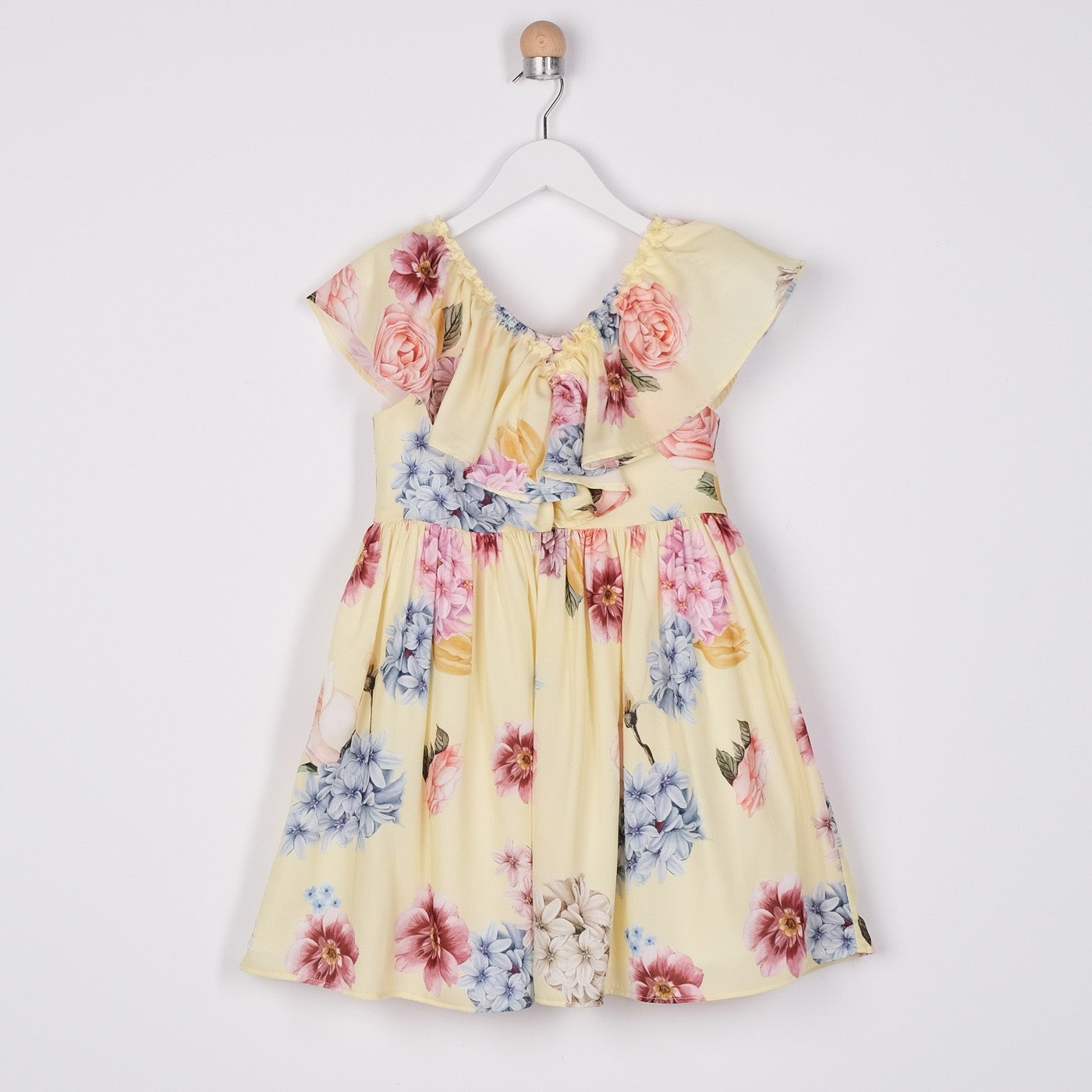 Panco Dress, Roses